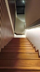 Playfair Road (D13), Terrace #456543561